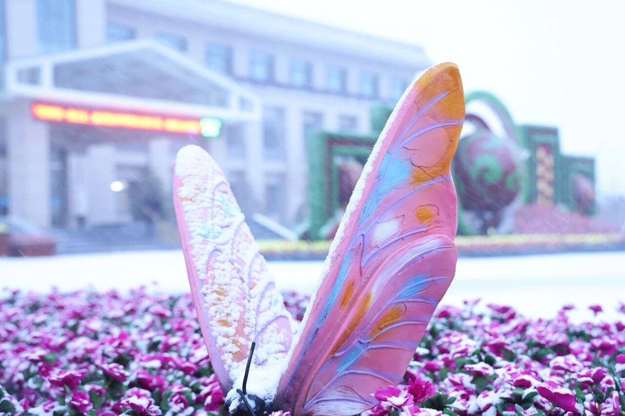 新宝GG—创立事业平台