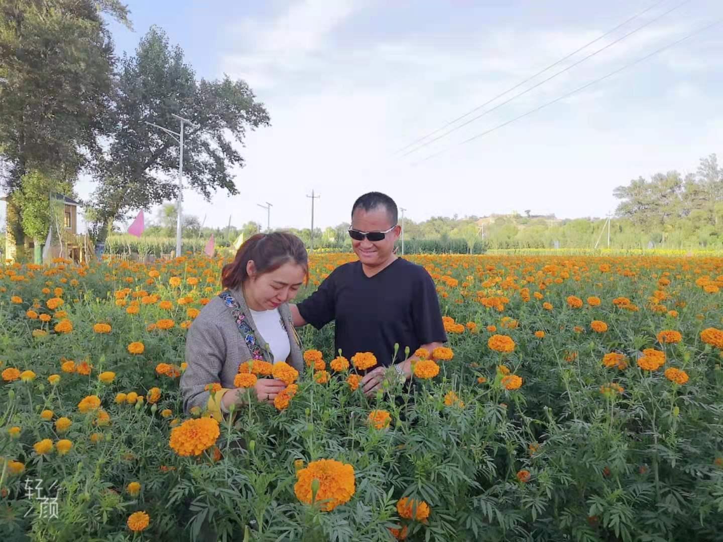 新宝GG—创立事业平台